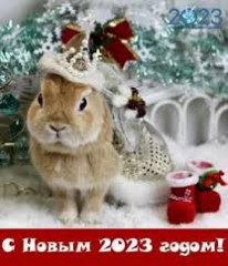 с НАСТУПАЮЩИМ НОВЫМ ГОДОМ - фото - 3